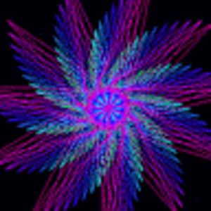 Meet your Posher, Maya